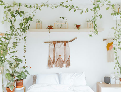 Start Spring with a Lighter, Brighter Home