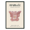 Papillon Hair Clip