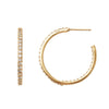 Sparkle Hoops