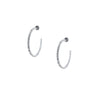 Small Hoop Earrings