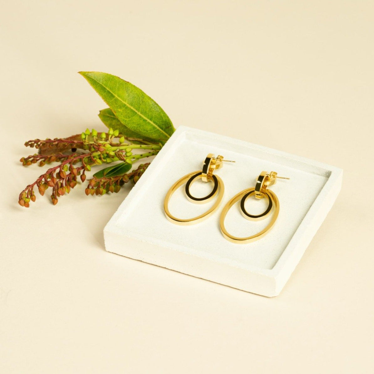 Cassio earrings Clearance